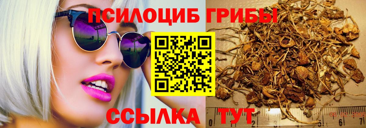 Галлюциногенные грибы Psilocybine cubensis  Псилоцибиновые грибы ЛСД  Вход с VPN  Усолье-Сибирское 