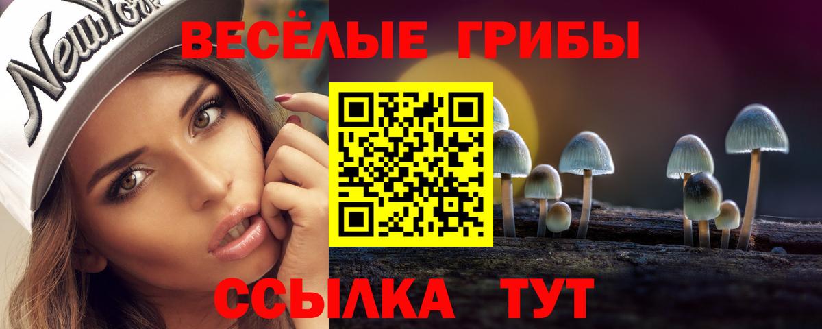 Галлюциногенные грибы мухоморы Усолье-Сибирское