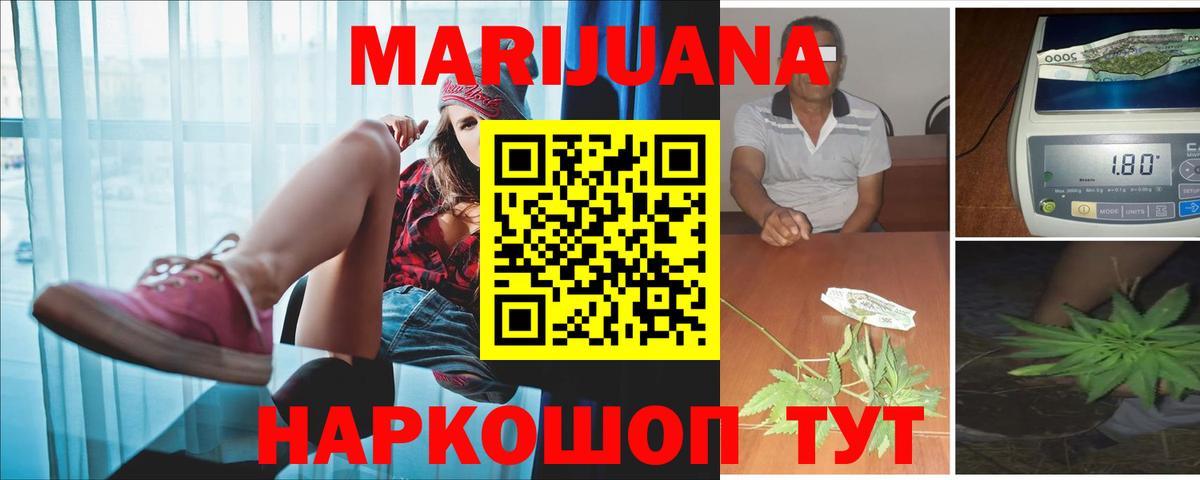 Конопля гибрид Усолье-Сибирское